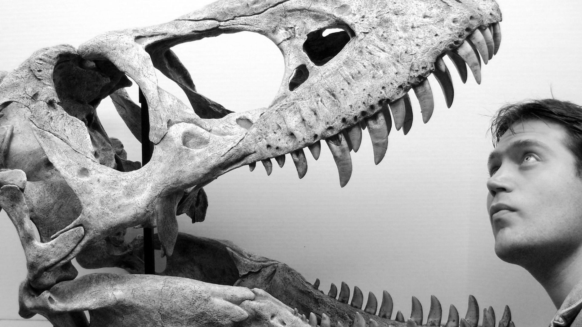 National Geographic Live! - Feb. 25